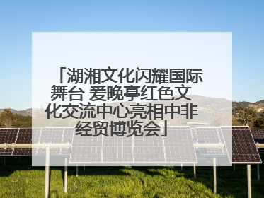 湖湘文化闪耀国际舞台 爱晚亭红色文化交流中心亮相中非经贸博览会