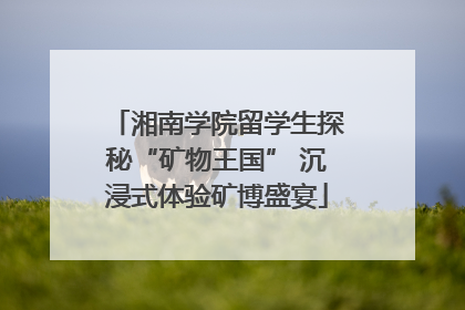 湘南学院留学生探秘“矿物王国” 沉浸式体验矿博盛宴