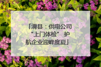 滑县：供电公司“上门体检” 护航企业迎峰度夏