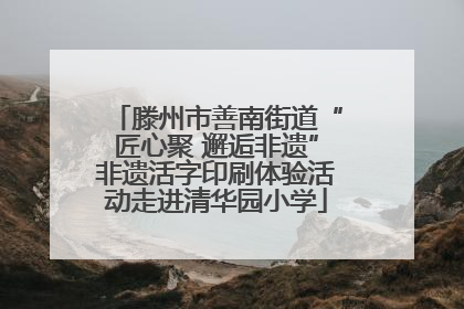 滕州市善南街道“匠心聚 邂逅非遗”非遗活字印刷体验活动走进清华园小学