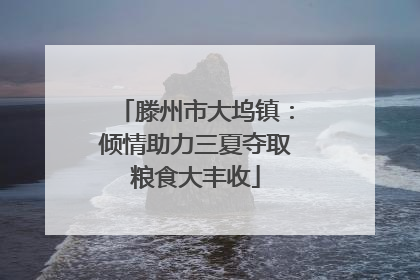 滕州市大坞镇：倾情助力三夏夺取粮食大丰收