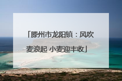 滕州市龙阳镇：风吹麦浪起 小麦迎丰收