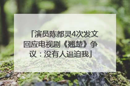 演员陈都灵4次发文回应电视剧《翘楚》争议：没有人逼迫我