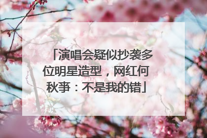 演唱会疑似抄袭多位明星造型，网红何秋亊：不是我的错