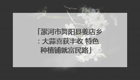 漯河市舞阳县姜店乡：大蒜喜获丰收 特色种植铺就富民路
