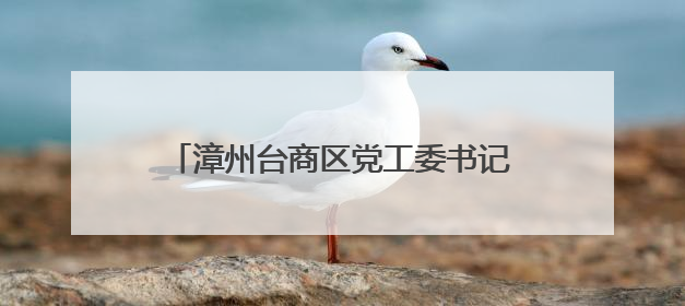 漳州台商区党工委书记为党员干部上专题党课