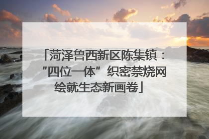 菏泽鲁西新区陈集镇：“四位一体”织密禁烧网 绘就生态新画卷