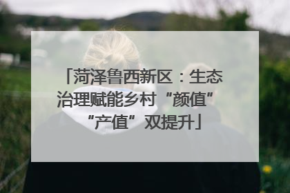 菏泽鲁西新区：生态治理赋能乡村“颜值”“产值”双提升