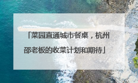 菜园直通城市餐桌，杭州邵老板的收菜计划和期待