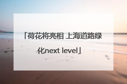 荷花将亮相 上海道路绿化next level