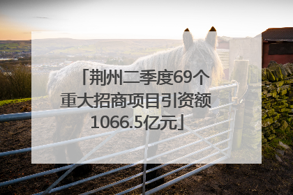 荆州二季度69个重大招商项目引资额1066.5亿元