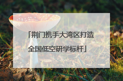 荆门携手大湾区打造全国低空研学标杆