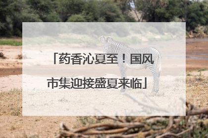 药香沁夏至！国风市集迎接盛夏来临