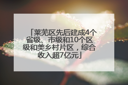 莱芜区先后建成4个省级、市级和10个区级和美乡村片区，综合收入超7亿元