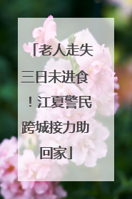 老人走失三日未进食！江夏警民跨城接力助回家
