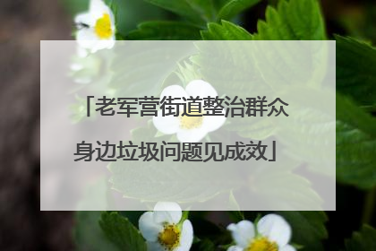 老军营街道整治群众身边垃圾问题见成效