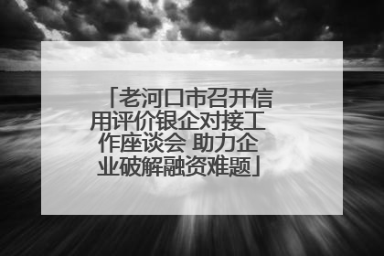 老河口市召开信用评价银企对接工作座谈会 助力企业破解融资难题