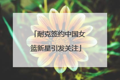 耐克签约中国女篮新星引发关注