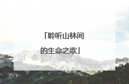 聆听山林间的生命之歌