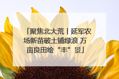 聚焦北大荒丨延军农场新苗破土铺绿浪 万亩良田绘“丰”景