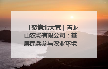 聚焦北大荒｜青龙山农场有限公司：基层民兵参与农业环境综合治理显效