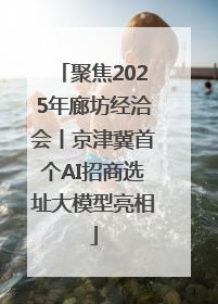 聚焦2025年廊坊经洽会丨京津冀首个AI招商选址大模型亮相