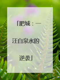 肥城：一汪自泉水的逆袭