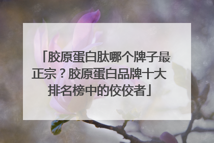 胶原蛋白肽哪个牌子最正宗？胶原蛋白品牌十大排名榜中的佼佼者