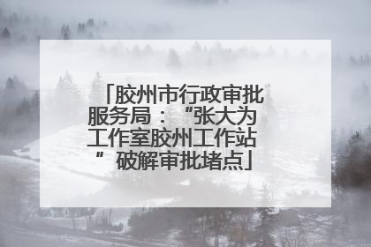 胶州市行政审批服务局：“张大为工作室胶州工作站”破解审批堵点
