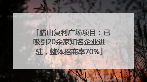 腊山复利广场项目：已吸引20余家知名企业进驻，整体招商率70%
