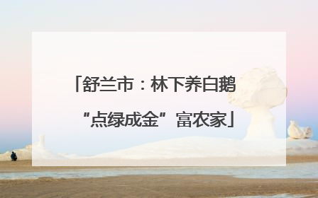 舒兰市：林下养白鹅 “点绿成金”富农家