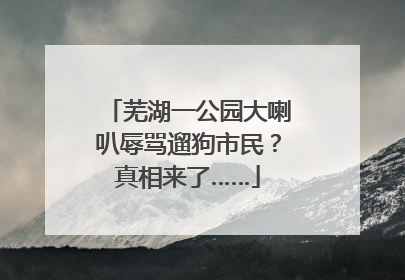 芜湖一公园大喇叭辱骂遛狗市民？真相来了……