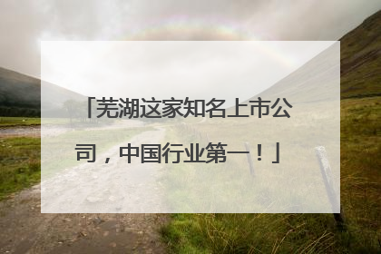 芜湖这家知名上市公司，中国行业第一！