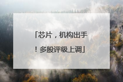 芯片，机构出手！多股评级上调