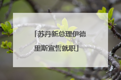 苏丹新总理伊德里斯宣誓就职