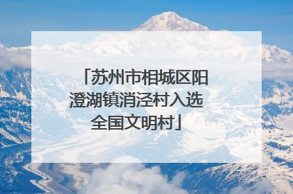 苏州市相城区阳澄湖镇消泾村入选全国文明村