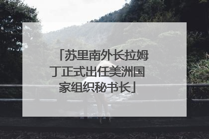 苏里南外长拉姆丁正式出任美洲国家组织秘书长