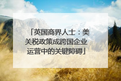 英国商界人士：美关税政策成跨国企业运营中的关键障碍