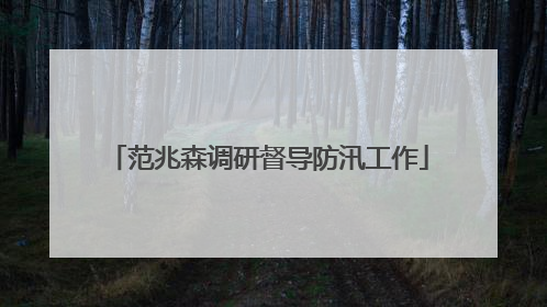 范兆森调研督导防汛工作