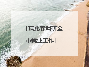 范兆森调研全市就业工作