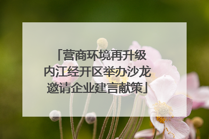 营商环境再升级 内江经开区举办沙龙邀请企业建言献策