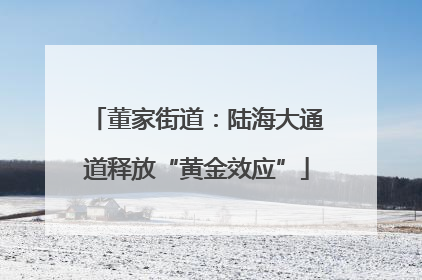 董家街道：陆海大通道释放“黄金效应”