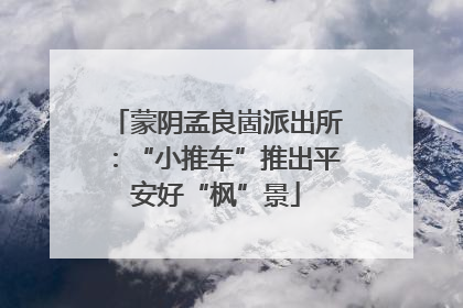 蒙阴孟良崮派出所：“小推车”推出平安好“枫”景