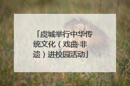 虞城举行中华传统文化（戏曲·非遗）进校园活动
