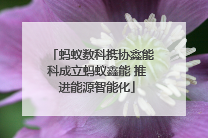 蚂蚁数科携协鑫能科成立蚂蚁鑫能 推进能源智能化