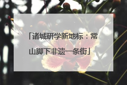 诸城研学新地标：常山脚下非遗一条街