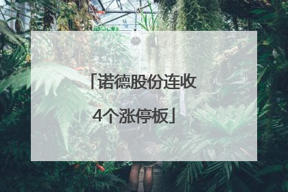 诺德股份连收4个涨停板