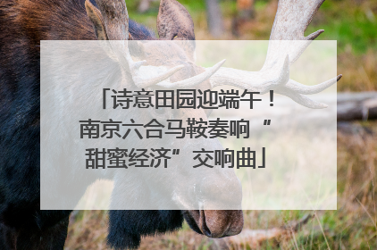 诗意田园迎端午！南京六合马鞍奏响“甜蜜经济”交响曲
