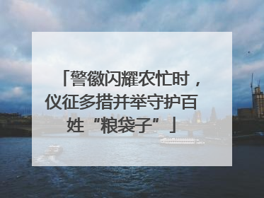 警徽闪耀农忙时，仪征多措并举守护百姓“粮袋子”
