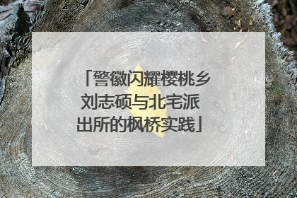 警徽闪耀樱桃乡 刘志硕与北宅派出所的枫桥实践